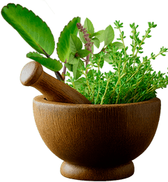 Pilón de madera con hierbas medicinales